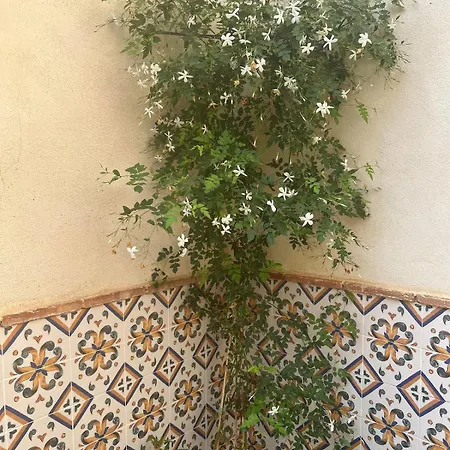 Hort De Les Oronetes *